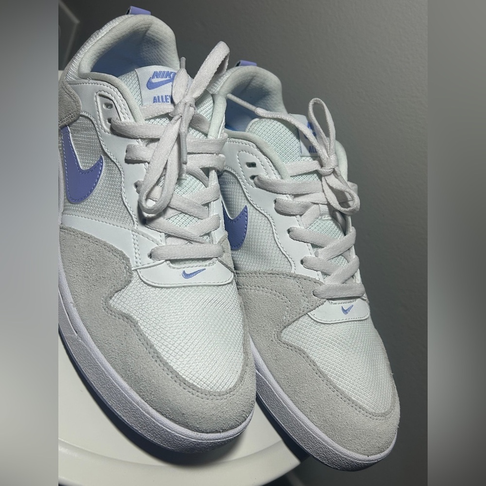 Nike SB Alleyoop in Summit White